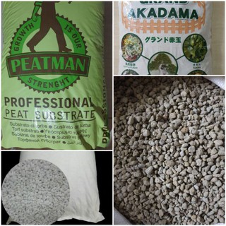 combo đất perlite akadama pumice peatmoss
