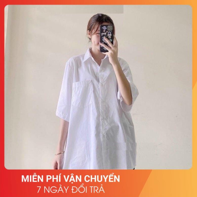 Áo Sơ Mi Trắng Tay Lỡ Hs 24AP Nữ [FREESHIP] 🌸 Thun kiểu form rộng học sinh, vintage cá tính rẻ đẹp Ulzzang 🌸 | BigBuy360 - bigbuy360.vn