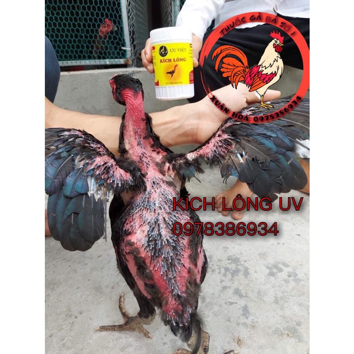Kích Lông Ưu Việt Lông ra nhanh gấp 5 lần
