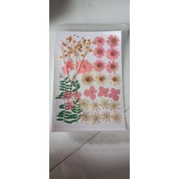 hoa khô ép dán trang trí