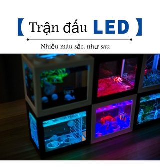 Bể Cá Nhân Tạo Mini Có Đèn Led Trang Trí Bể Cá
