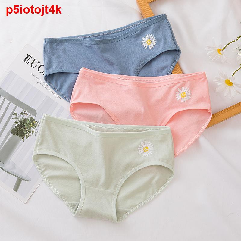 Đồ ngủ & Đồ mặc nhà2-4 đôi đồ lót cotton cho nữ sinh, sinh Hàn Quốc, học trung và cơ sở, những quý cô gợi cảm quyế1