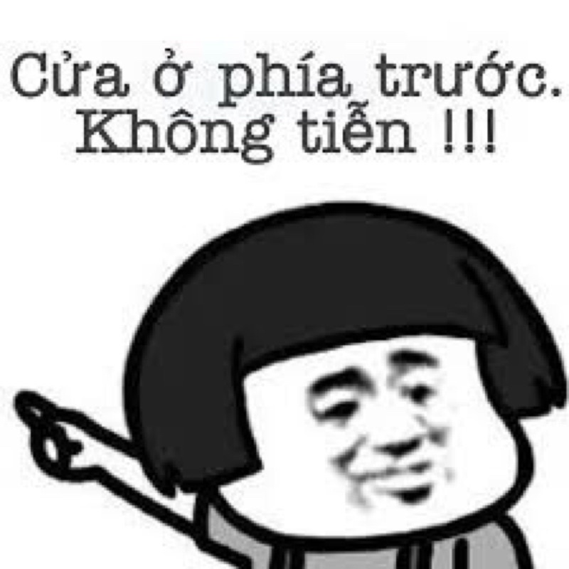 Pet Hải phòng