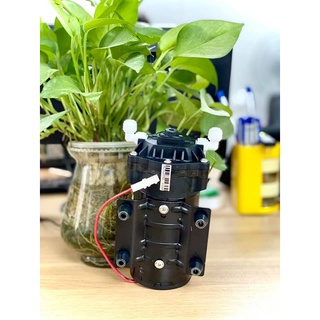 Bơm máy lọc nước - Bơm 24V Phun Sương