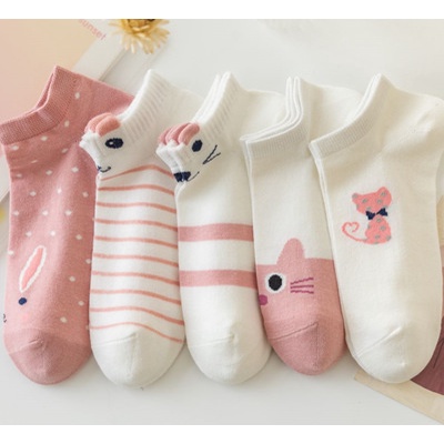 Set 5 đôi Tất phụ nữ Thu Đông phiên bản Hàn Quốc với họa tiết đẹp mắt