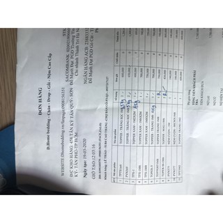 NỆM TOPPER LÀM MỀM ĐỆM DÀY 9CM