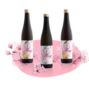 Nước uống làm đẹp da KOHARU COLLAGEN - JAPAN (Thực phẩm chức năng) | BigBuy360 - bigbuy360.vn