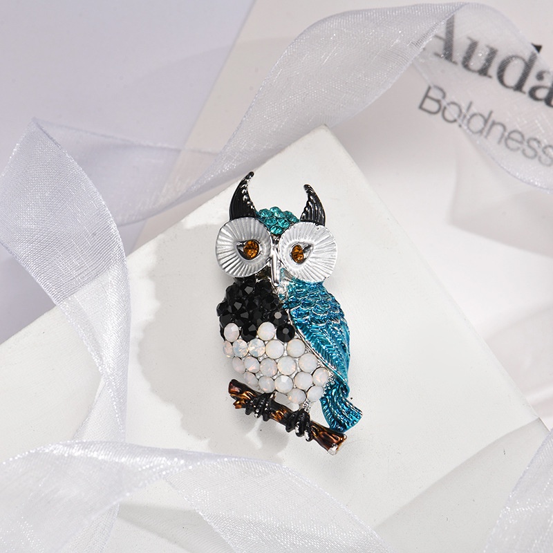 Ghim CàI ÁO HìNh Chú Cú ĐíNh Kim Cương Giả ThờI Trang Cho Nữ