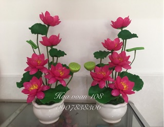 Chậu hoa sen để bàn thờ