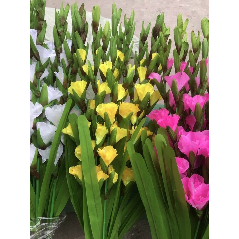 Cành hoa dơn cắm bình -1 bó /10 cành