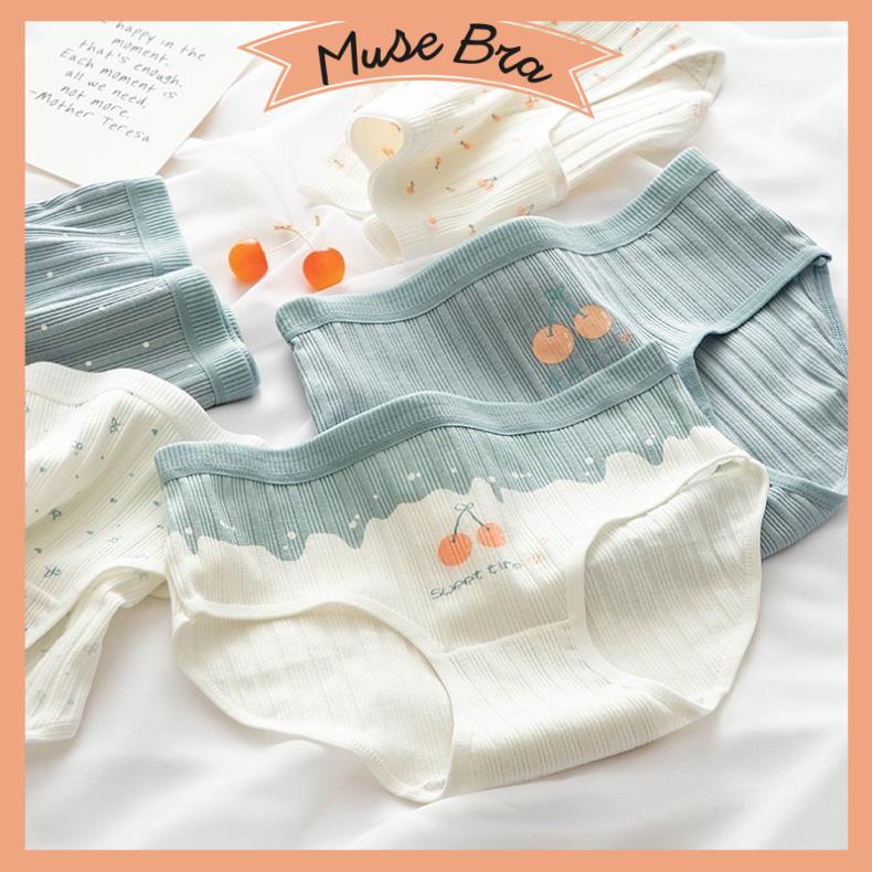 [Giá sỉ] Quần Lót Cotton Gân Tăm Hoạ Tiết Cherry Tông Xanh Trắng Cute