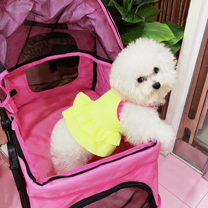 [ĐỒNG GIÁ 39k] Đầm thú cưng mùa hè SALE ĐỒNG GIÁ