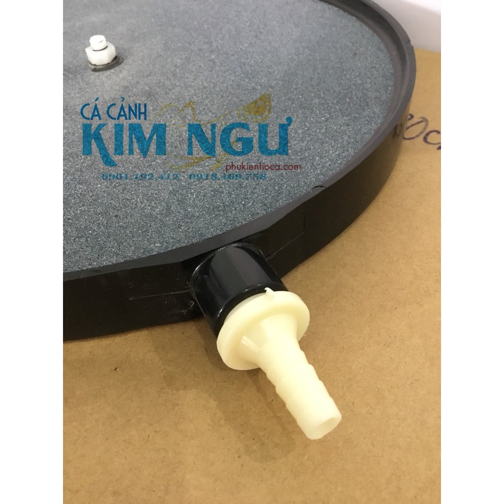 Đĩa Sủi Đường Kính 30 cm  - Sủi Khí Oxy Hồ Cá