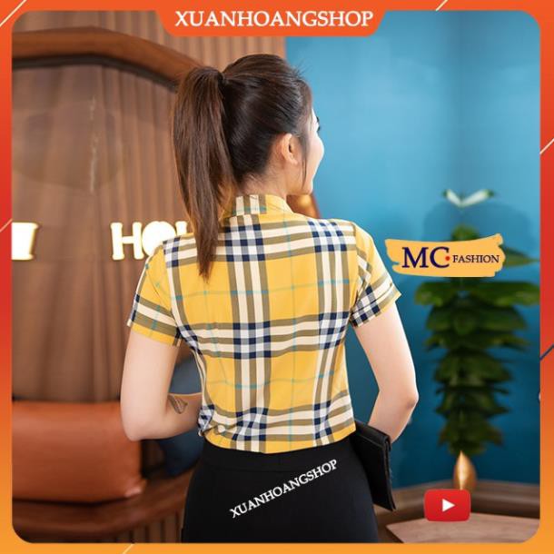 Áo Sơ Mi Nữ Công Sở Mc Fashion, Kiểu Dáng Tay Ngắn Cộc, Họa Tiết Kẻ Sọc Caro, 2 Màu( Vàng, Xanh Đen Tím Than) A665 . !