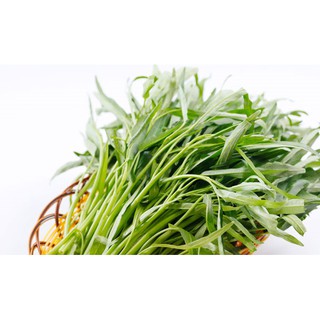 Rau muống lá tre