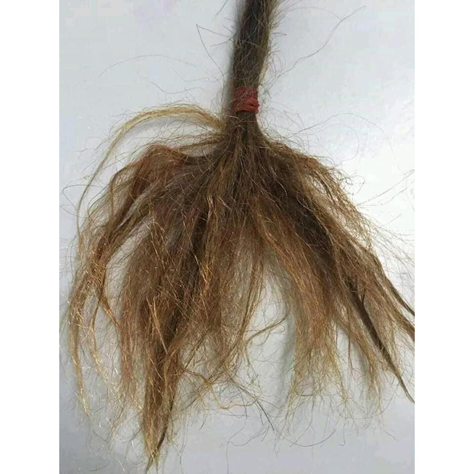 ✅Keratin Kami thủy phân nguyên chất chuyên phục hòi tóc nát lấp đầy hư tổn, giúp tóc đanh dai hơn.
