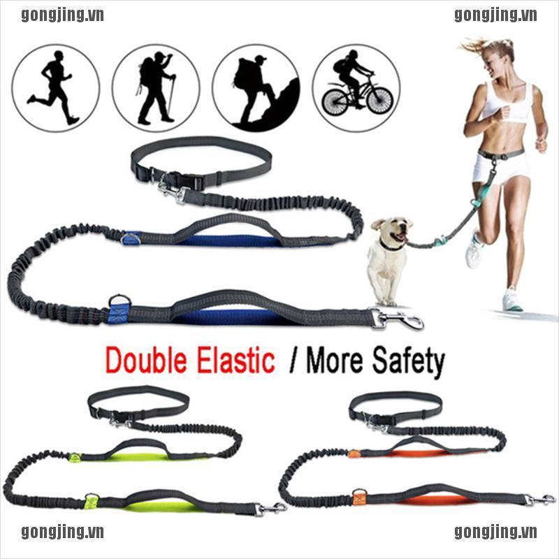 GONJ Pet Dog Running Belt Elastic Leash Traction Rope Jogging Pull Dog Leash