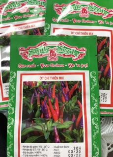Hạt giống ớt chỉ thiên Mix ☘️