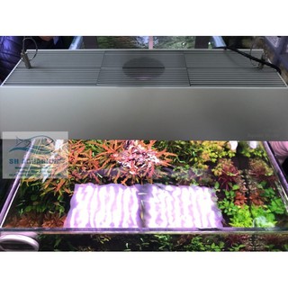 TẤM CHẮN SÁNG CHO ĐÈN  CHIHIROS VIVID 2, WRGB2, WRGB PRO
