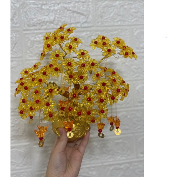 Cây Kim Tiền Cầu May Mắn - Cây Tài Lộc Vàng Đế Túi Tiền 7 Nhánh Trang Trí | BigBuy360 - bigbuy360.vn