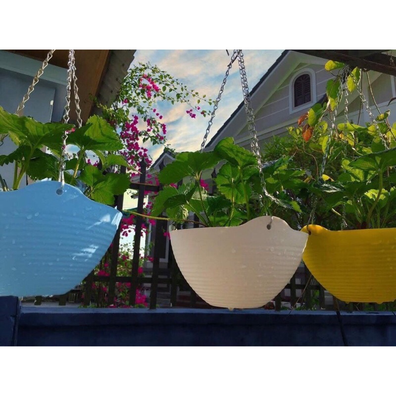 Chậu treo dây xích sắt hình sóng bát đủ màu siêu bền siêu đẹp