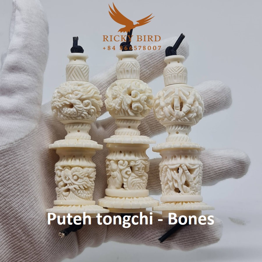 Phụ kiện chim - Puteh tongchi - Bones