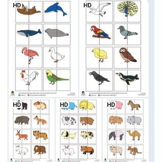 Ghép hình động vật 2 mảnh 40 con vật, HỌC LIỆU CHO BÉ