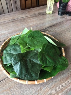 🌸 LÁ SƯƠNG SÂM LÔNG (Lá tươi) 🌸