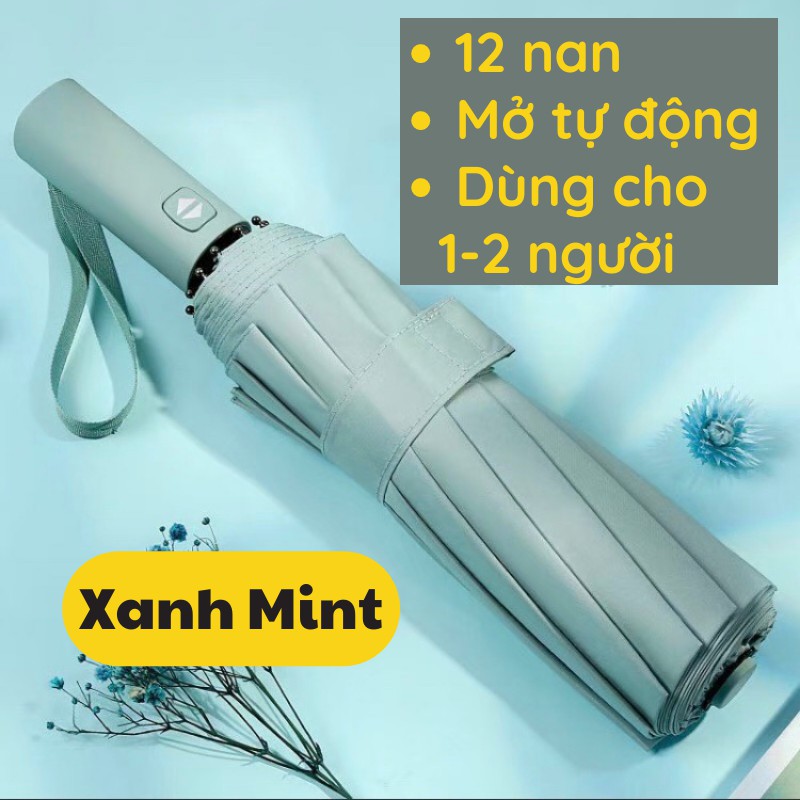 Dù Che Mưa, Ô Dù Che Nắng Mưa Gấp Gọn, Chống Tia UV Cao Cấp PAPAA.HOME