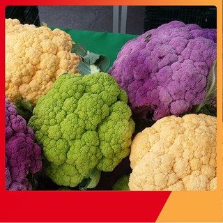Hạt Giống Súp Lơ Mix