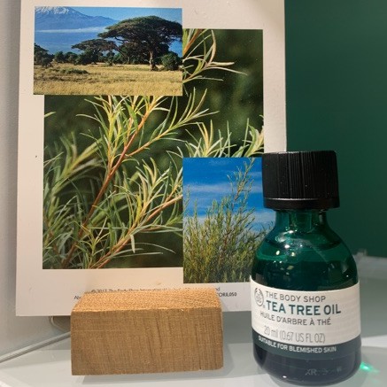 Tinh dầu tràm trà chấm mụn, kháng khuẩn cho da mụn the body shop tea tree oil [Size 20ML,10ML] | BigBuy360 - bigbuy360.vn