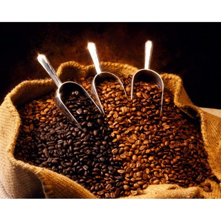 Cà phê nguyên chất Mộc 100% Robusta (500gram)
