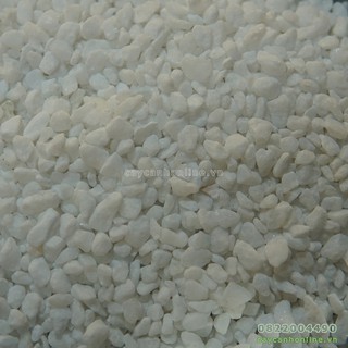 1Kg đá trắng mini rải chậu cây cảnh