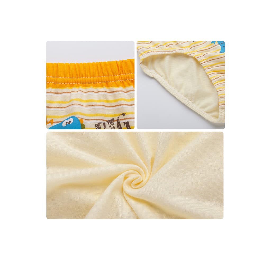 - Hộp 5 đồ lót tam giác dành cho bé trai mẫu Khủng Long Xanh Dương