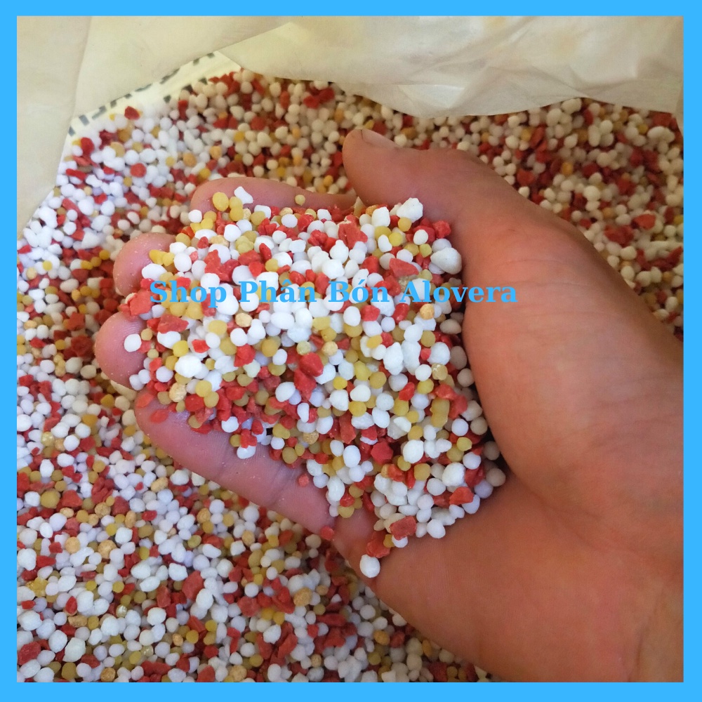 Phân NPK 20-20-15+TE+BO Chuyên Hoa Cây Cảnh