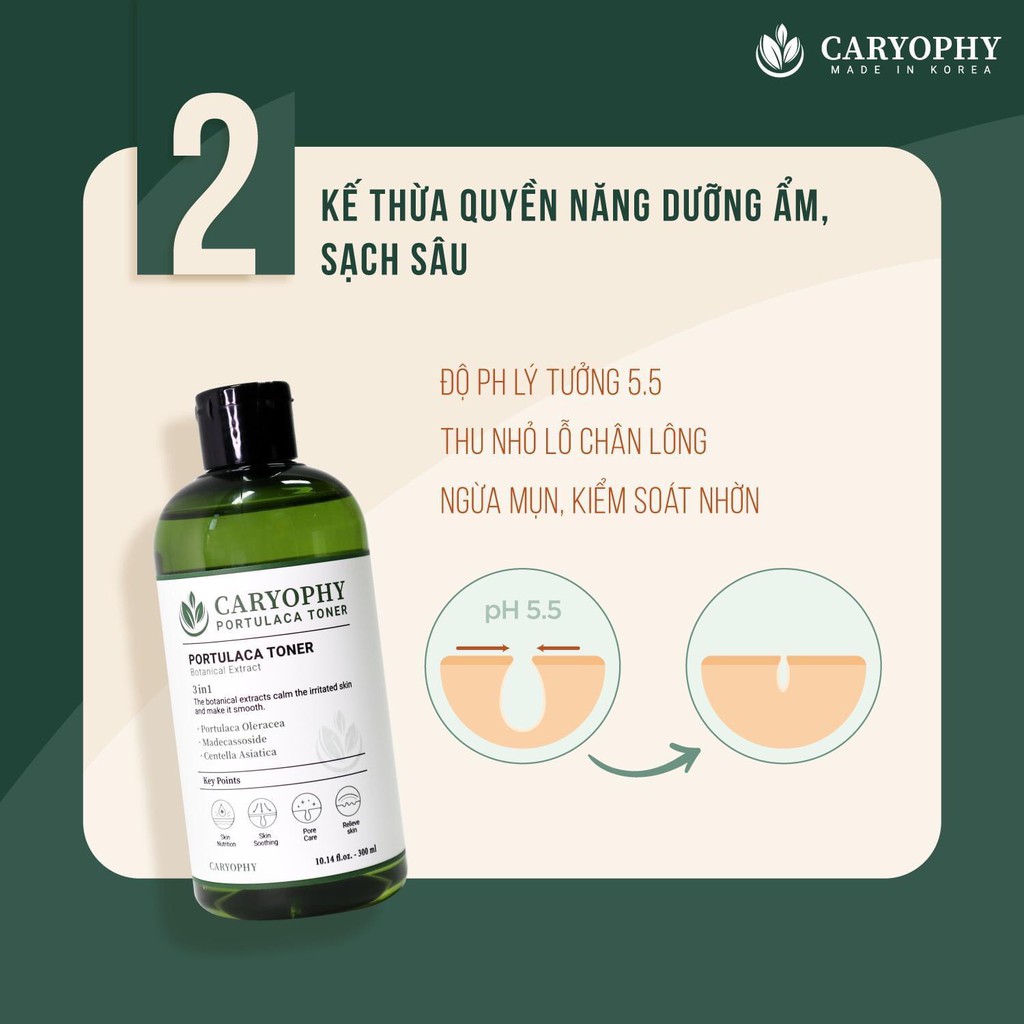 Toner Ngăn Ngừa Mụn Thâm Dành Cho Da Dầu Nhạy Cảm Caryophy Hàn Quốc | BigBuy360 - bigbuy360.vn