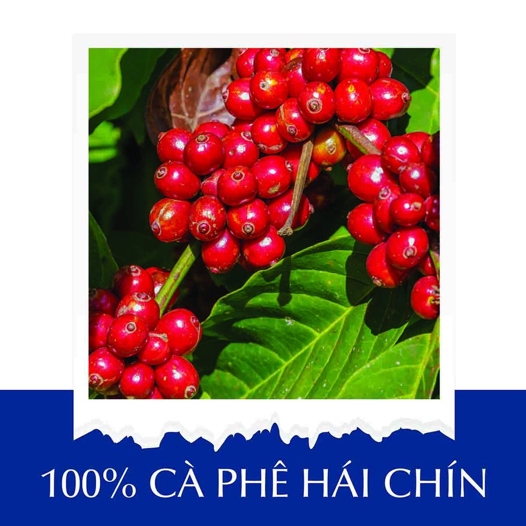 Cà phê nguyên chất Arabica (250gr/500gr) rang mộc, thơm, chua nhẹ, cà phê pha phin hoặc pha máy ngon TuTiMi | BigBuy360 - bigbuy360.vn