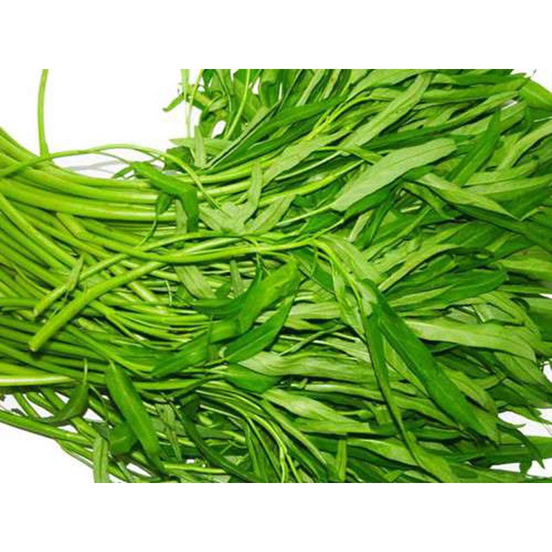 Hạt giống cuộng nhỏ . mềm giòn . xanh . non khoẻ