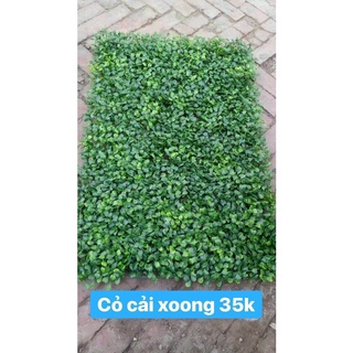 cỏ nhân tạo