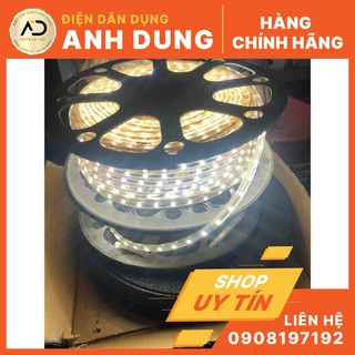 Đèn led dây mua 10m tặng đuôi (bán theo m)