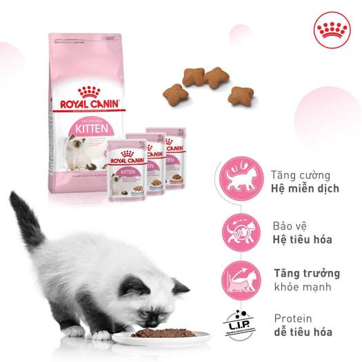 [Hỏa Tốc] Thức ăn cho mèo con Royal Canin Kitten 2kg Seal Hãng
