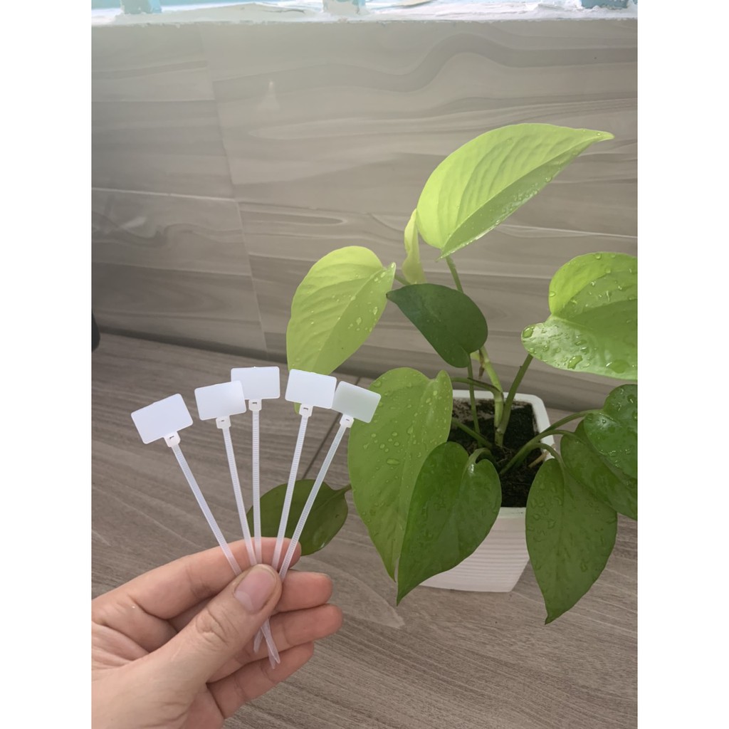 Dây rút - dây thít nhựa trắng dùng để đánh dấu cáp mạng- loại tốt ( 1 bịch 100 sợi)