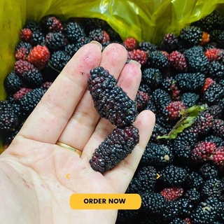 Dâu tằm nhà trồng trái ngon ngọt làm thủ công không chất bảo quản