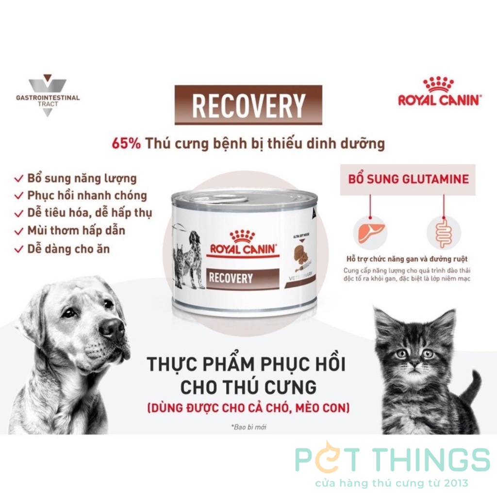 Pate Royal Canin Recovery lon 195g phục hồi sức khỏe cho chó mèo, 1 hộp