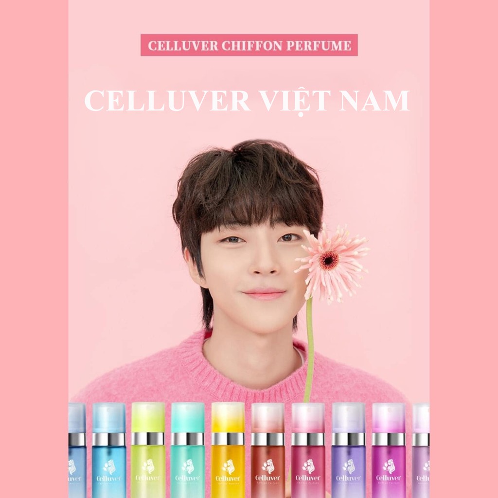 Nước hoa Celluver Chiffon Perfume Hàn Quôc- 80ml - 12 tông mùi- Hwang In Yeop | BigBuy360 - bigbuy360.vn