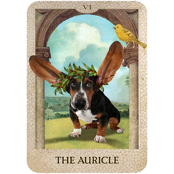 Bộ Bài Original Dog Tarot (Mystic House Tarot Shop) - Bài Gốc Authentic Chính Hãng 100%