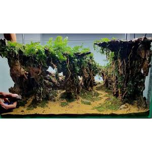 Đá tiger- đá trang trí thuỷ sinh