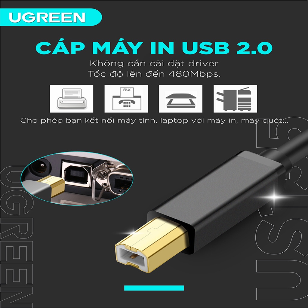 Cáp máy in USB 2.0 AM to BM chính hãng Ugreen US104 / US135