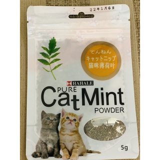 Cỏ mèo bạc hà catmint gói 5g