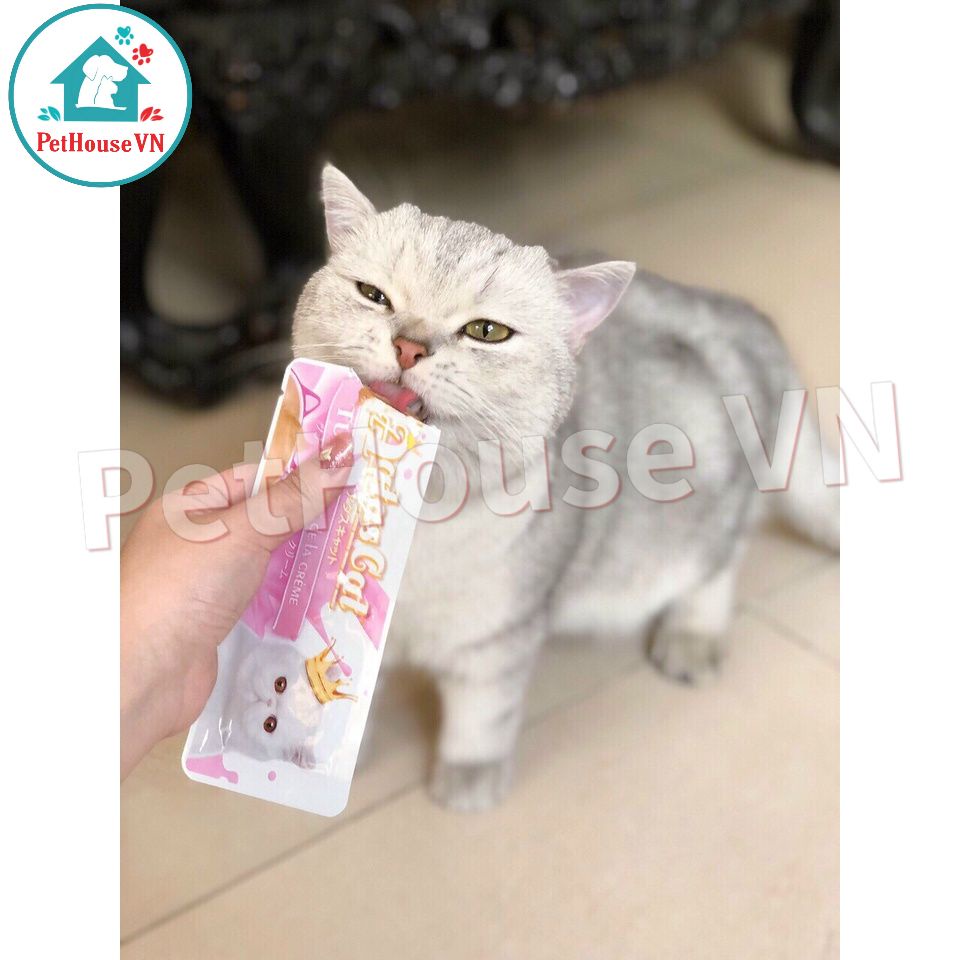 Kem Thưởng Cho Mèo AATAS CAT 16g 3 Vị Cá Hồi, Gà, Cá Ngừ